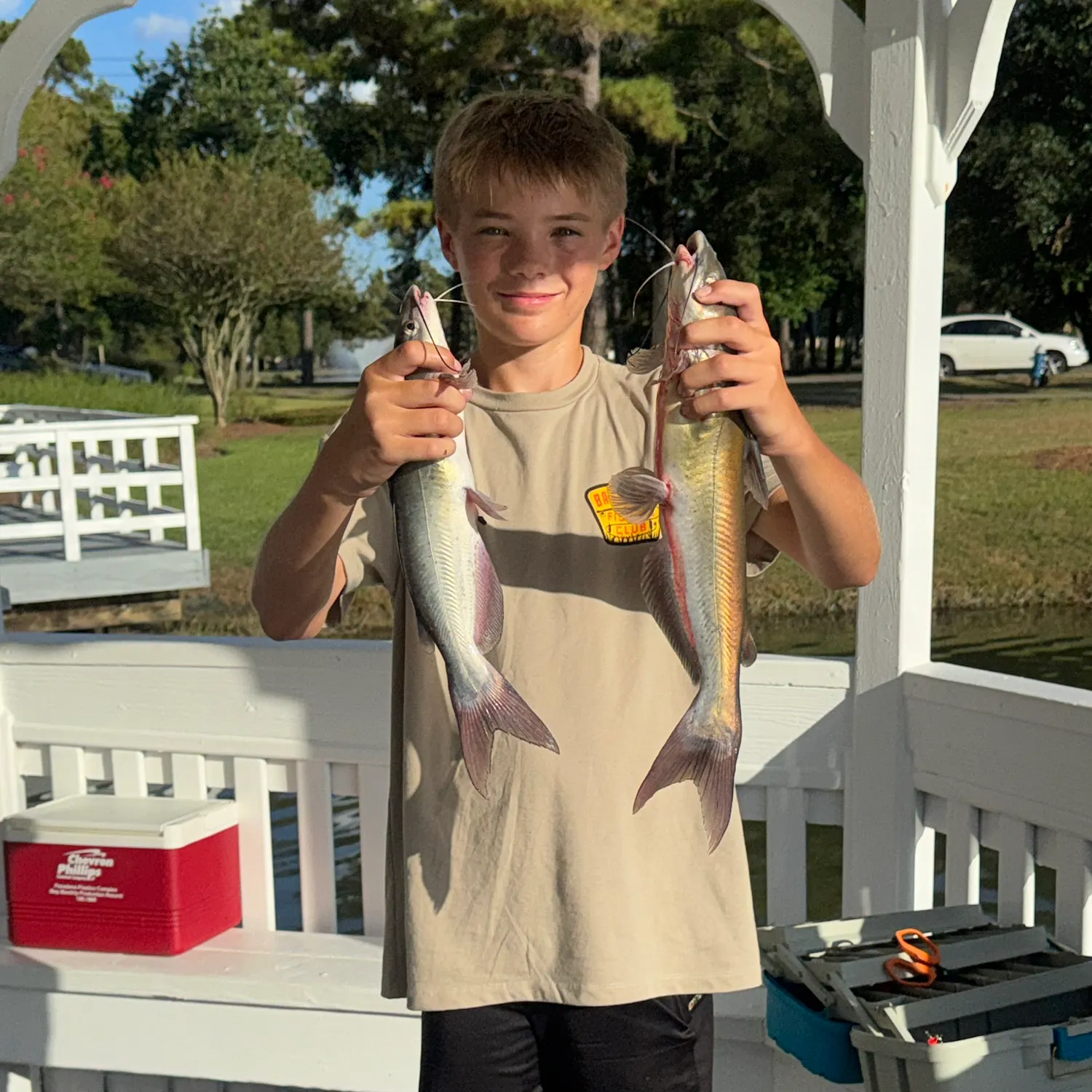 Channel catfish caught on Fishbrain
