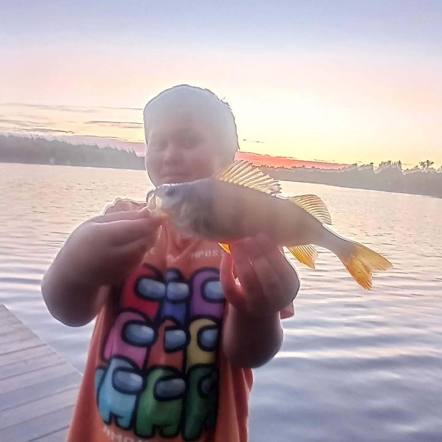 European perch caught on Fishbrain