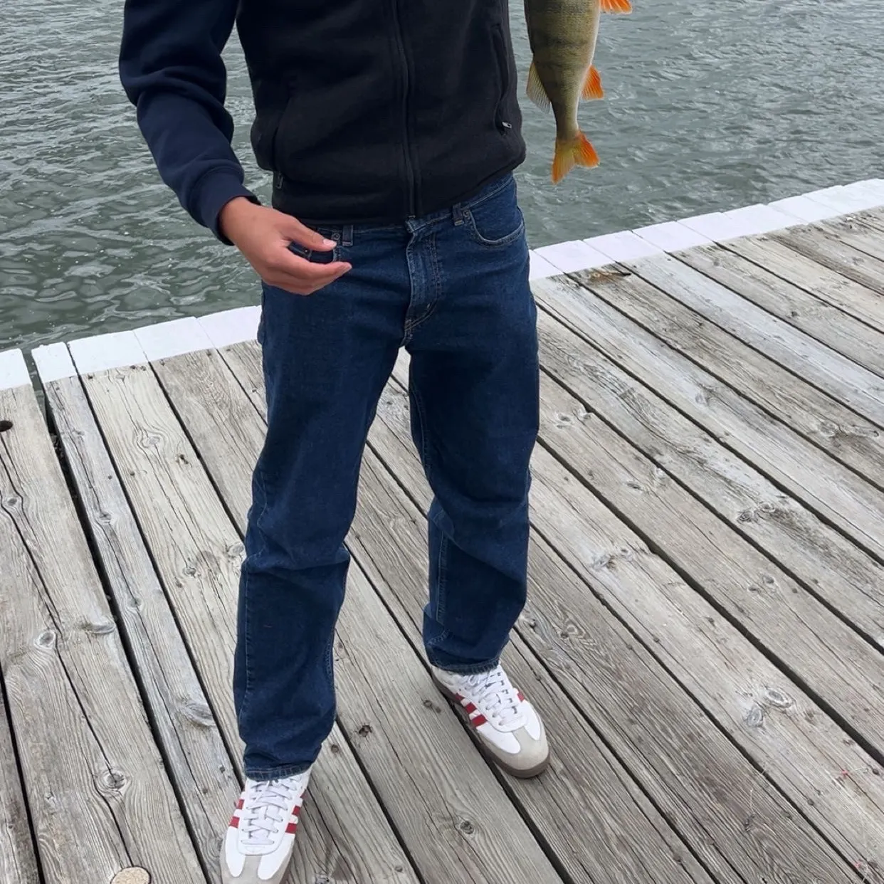 European perch caught on Fishbrain