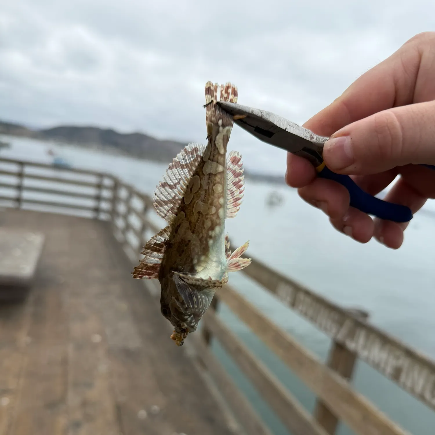catch