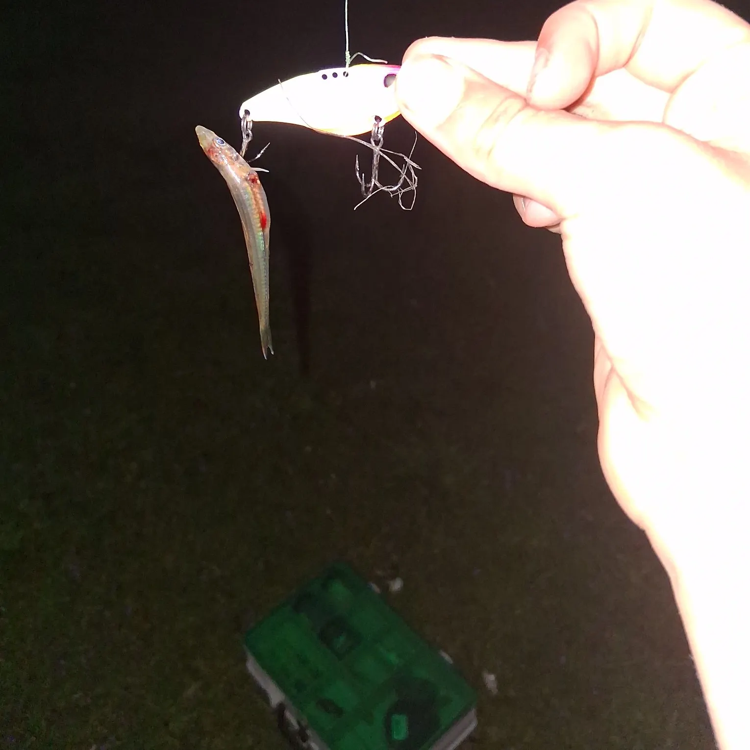 most liked catch image