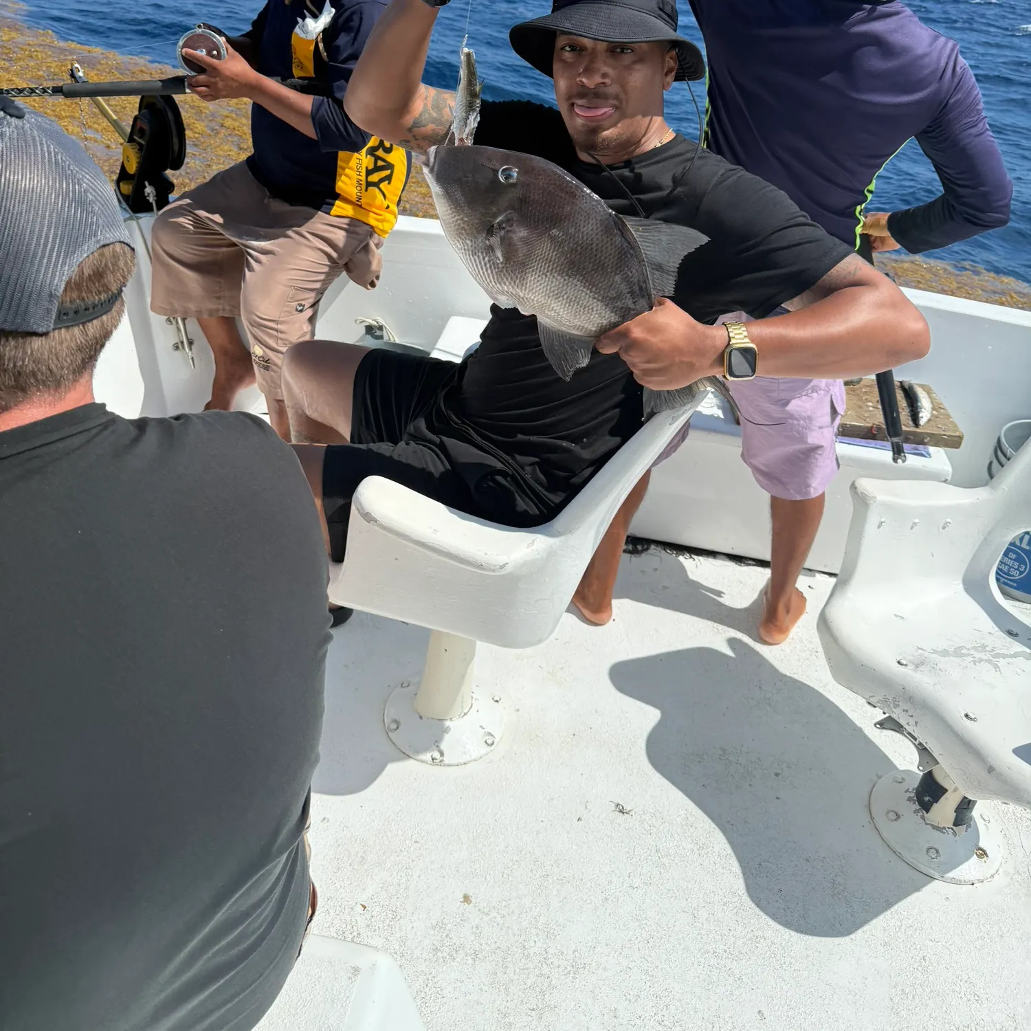 The most recent Grey triggerfish catches on Fishbrain