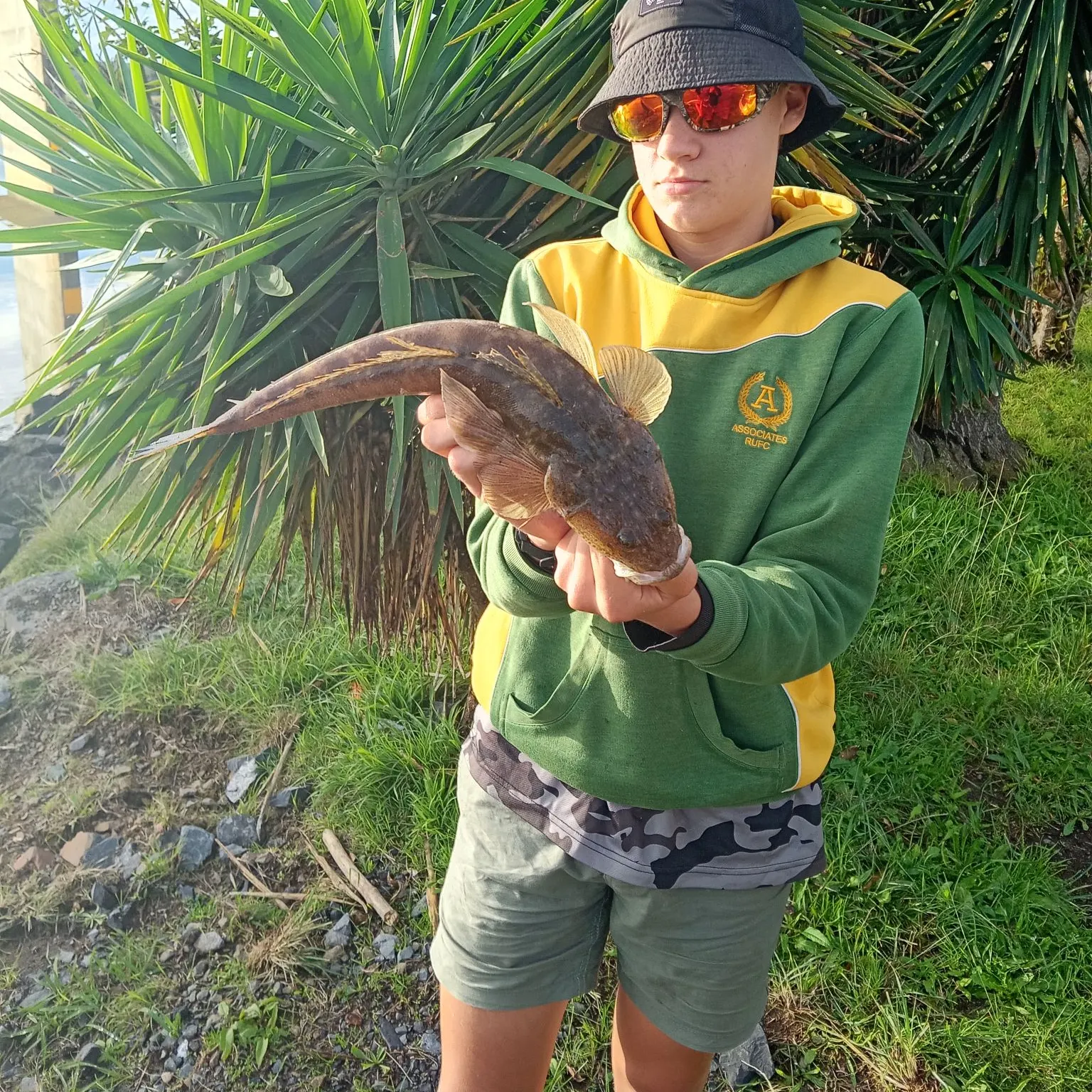 The most recent Dusky flathead catches on Fishbrain