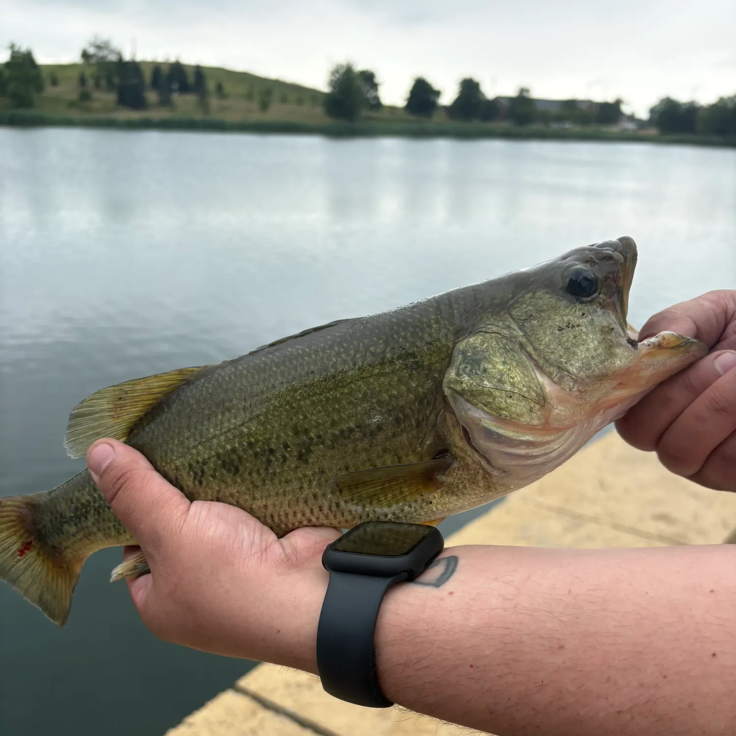 catch