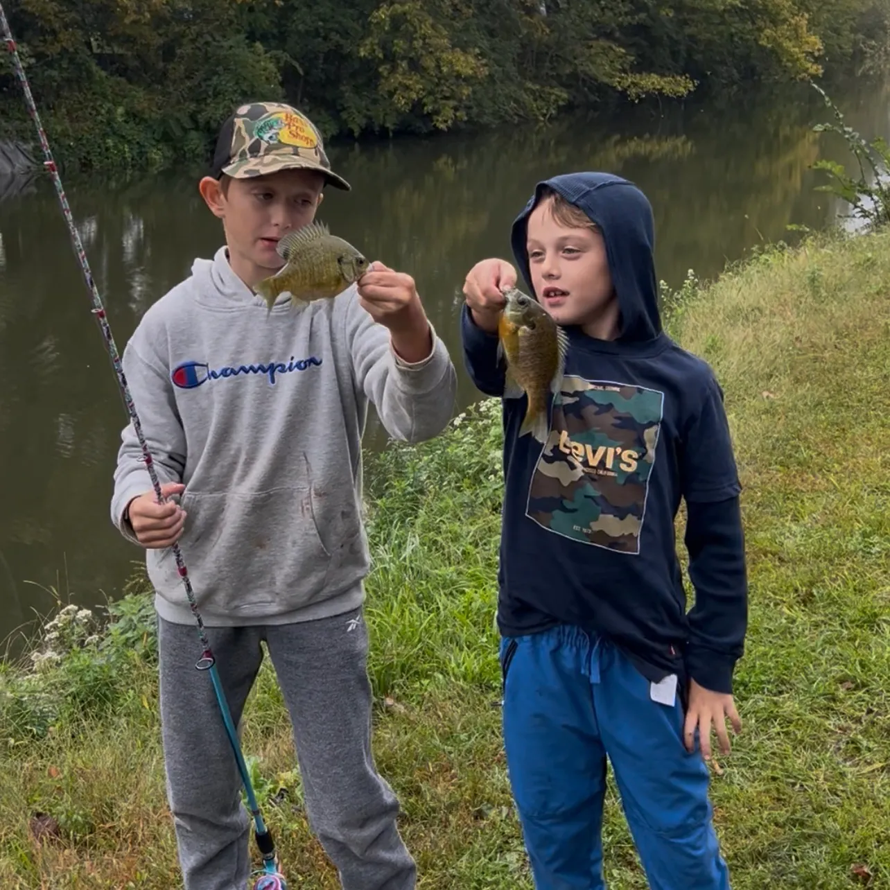Bluegill caught on Fishbrain