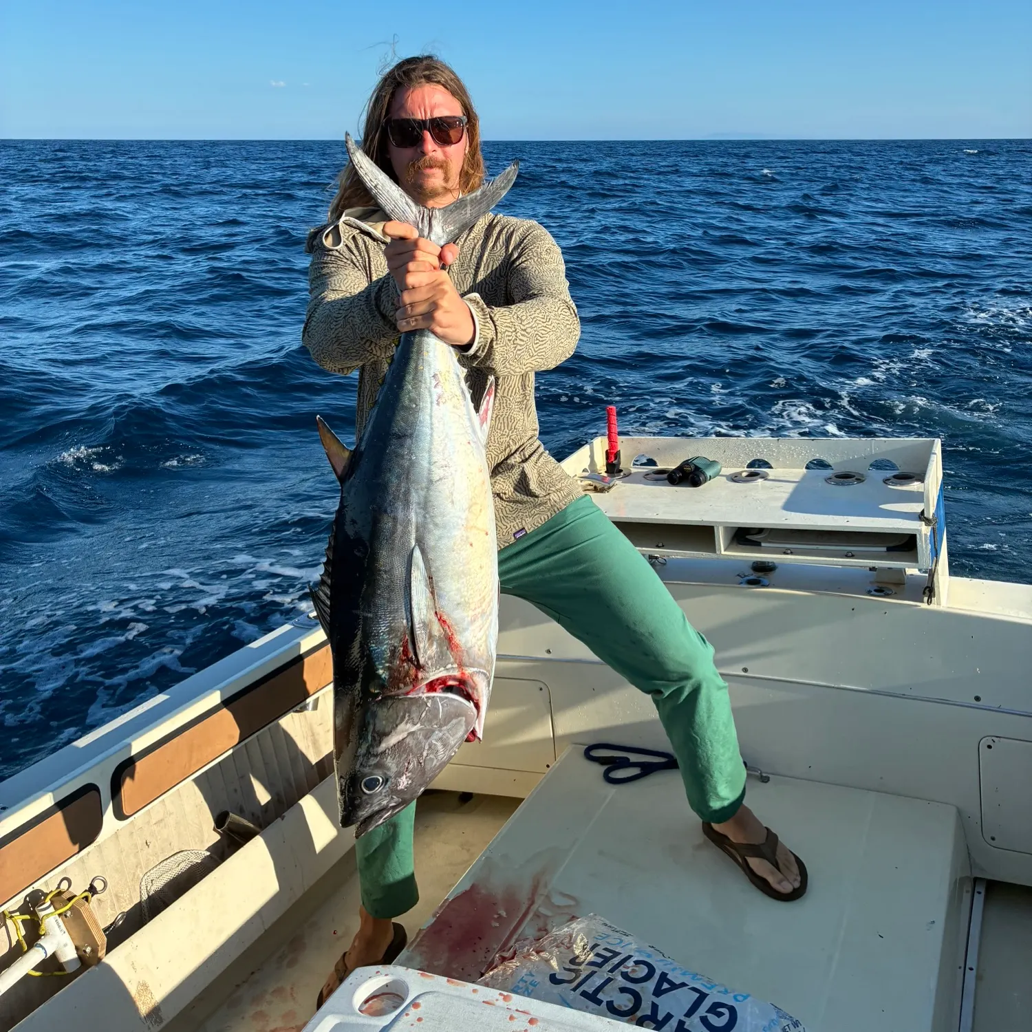 The most recent Southern bluefin tuna catches on Fishbrain