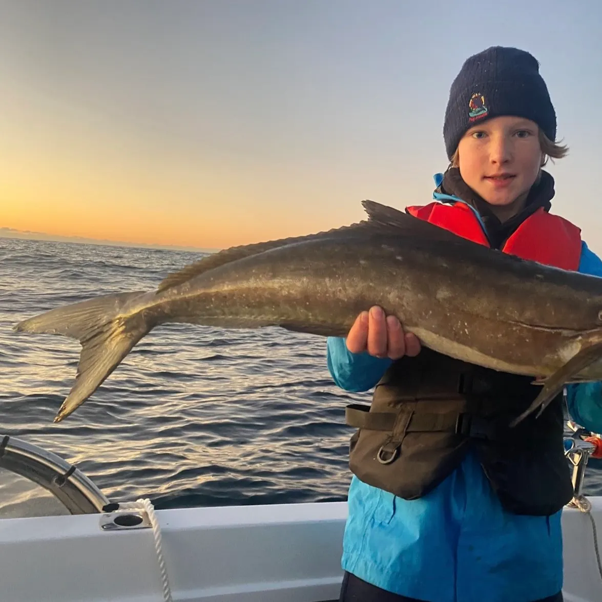 Cobia caught on Fishbrain