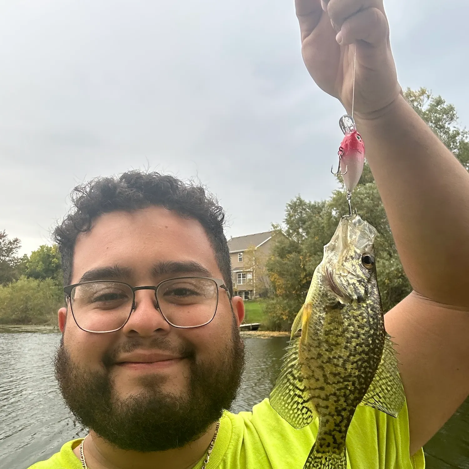 Black crappie caught on Fishbrain
