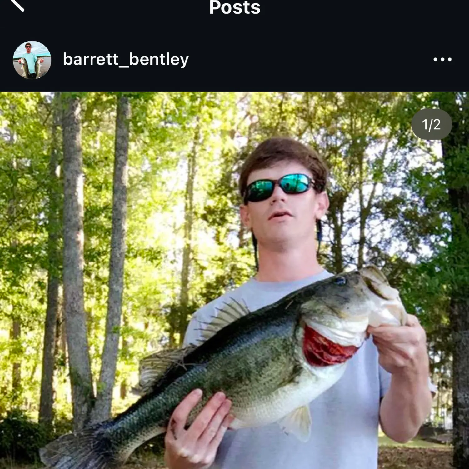 recently logged catches