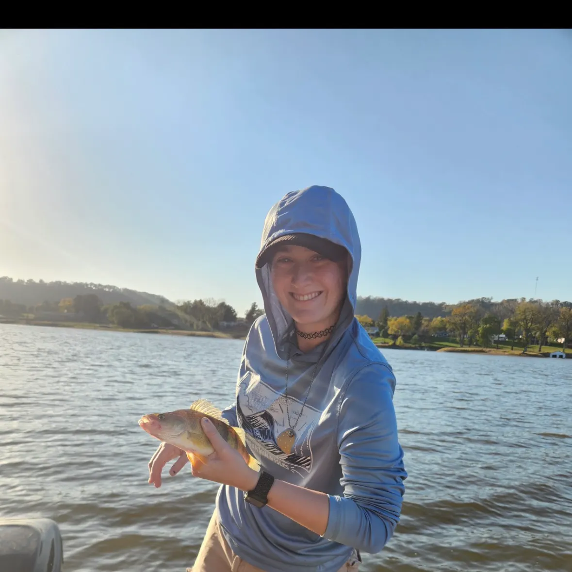 Yellow perch caught on Fishbrain