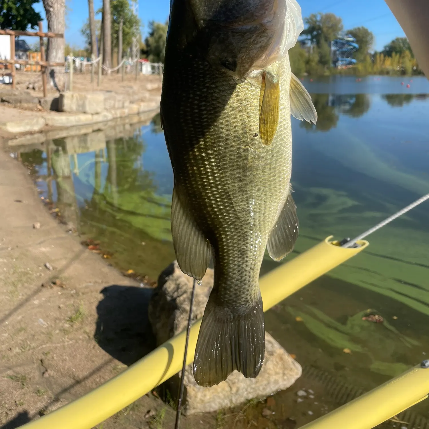 angler catch