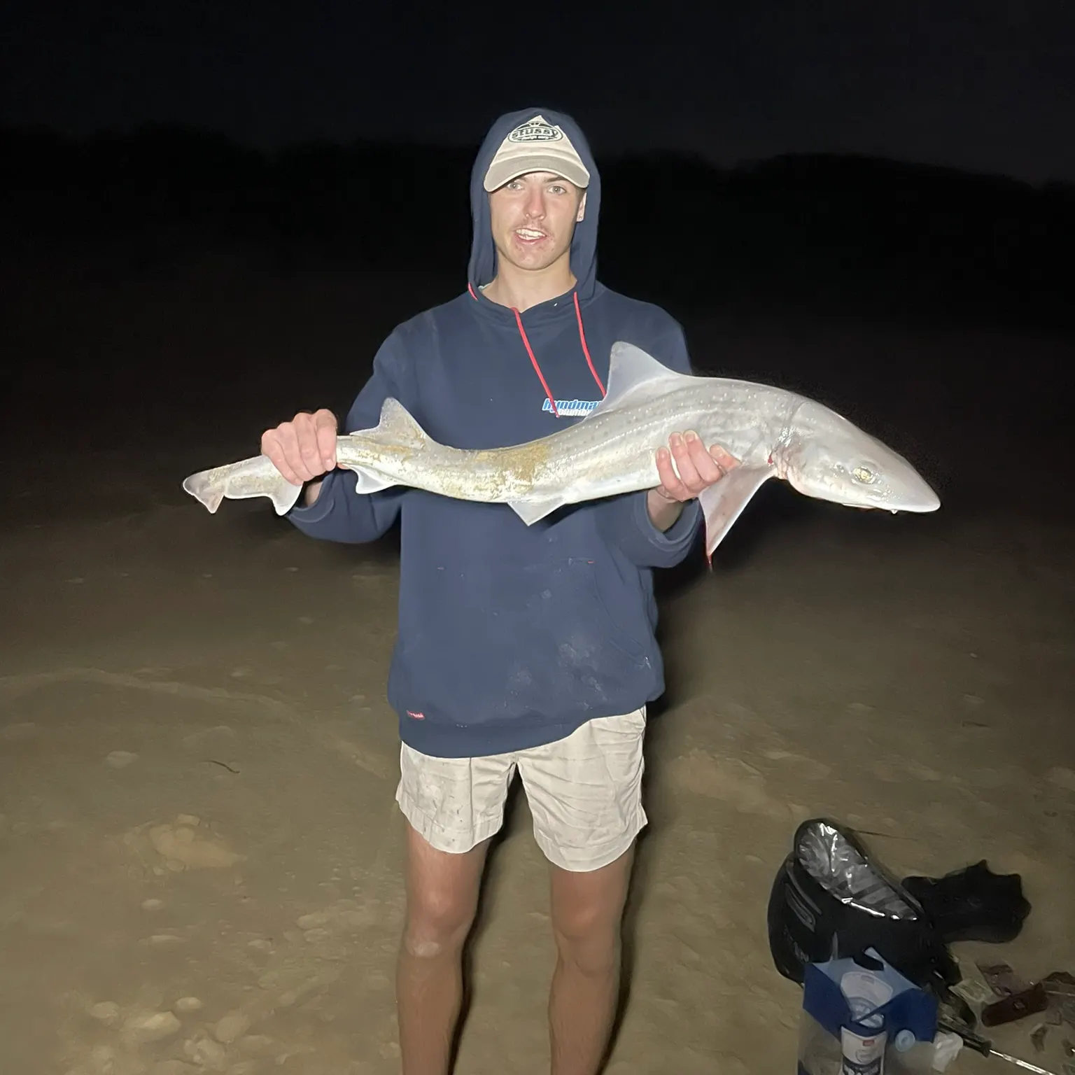 The most recent Gummy shark catches on Fishbrain