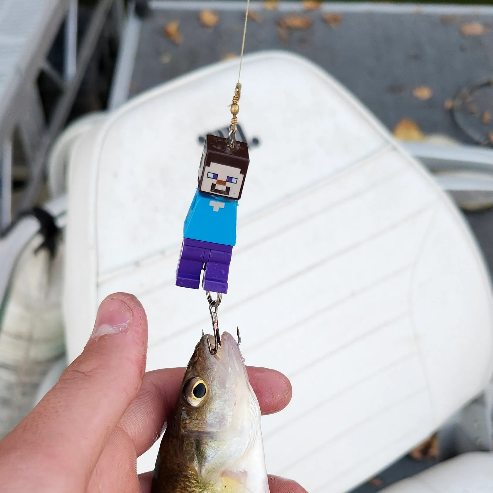Yellow perch caught on Fishbrain