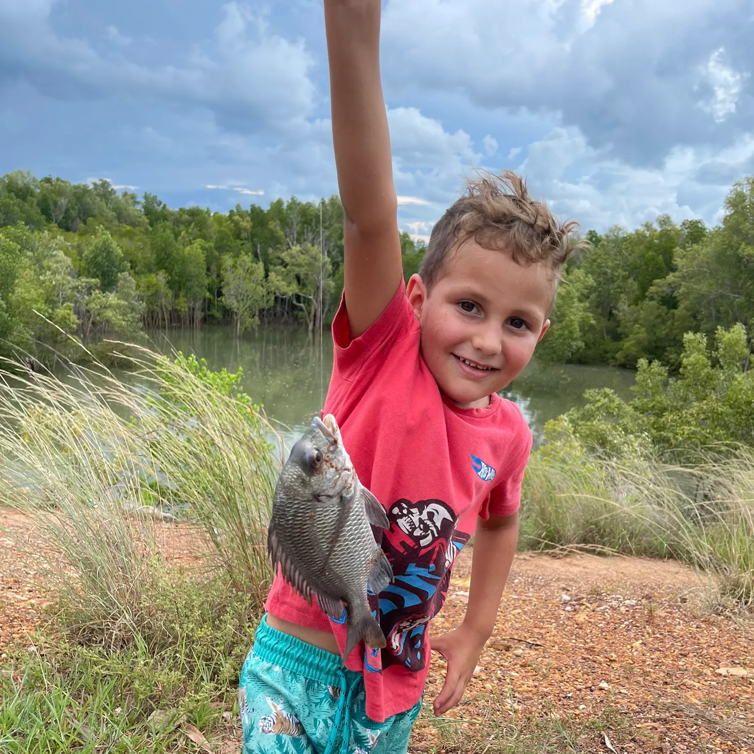 The most recent Pacific seabream catches on Fishbrain