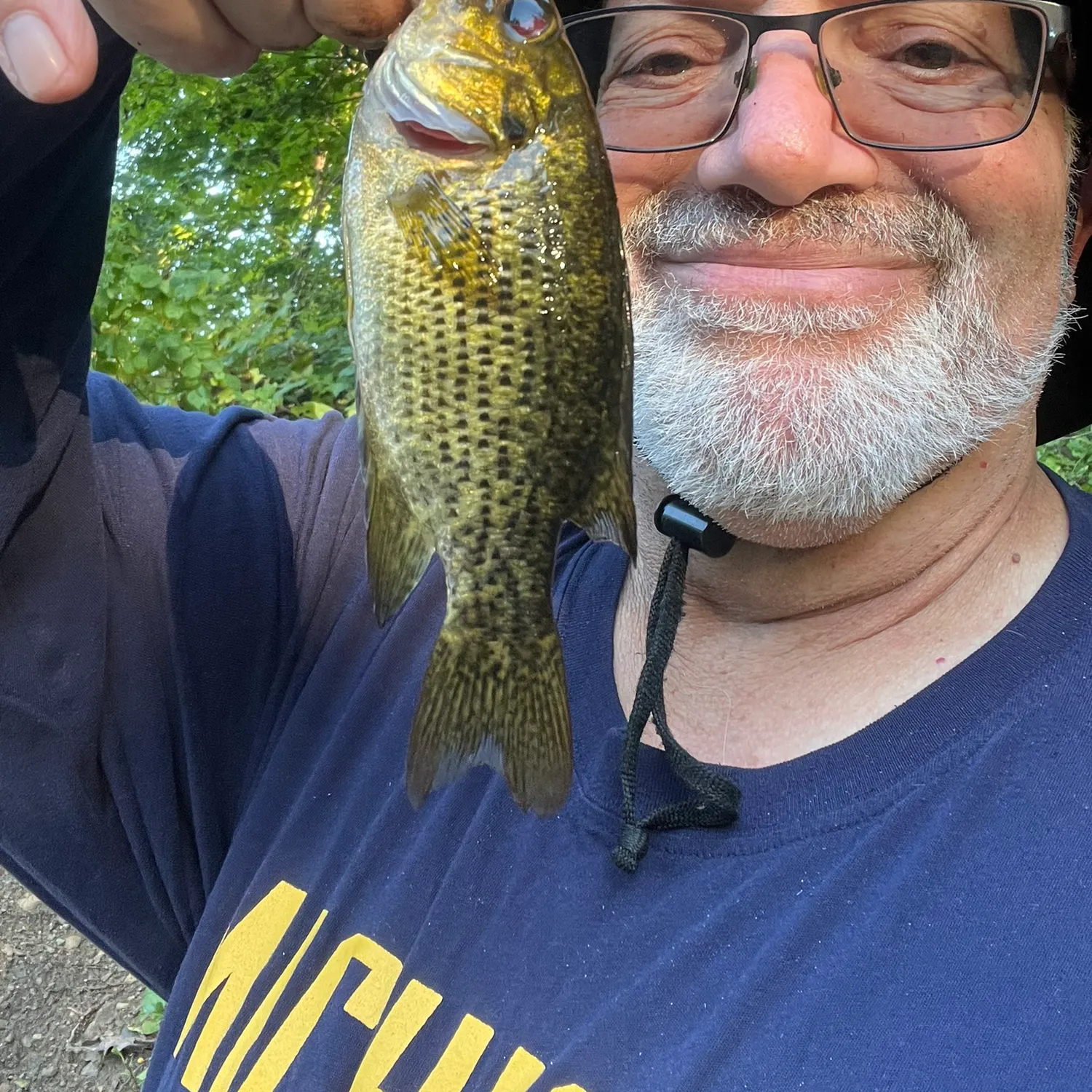 Rock bass caught on Fishbrain