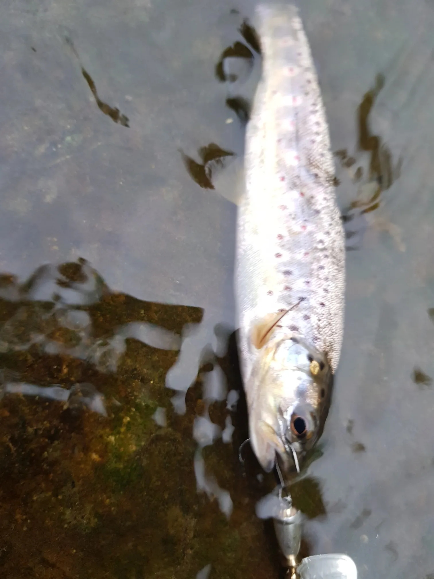 Post image from jstoddart4367