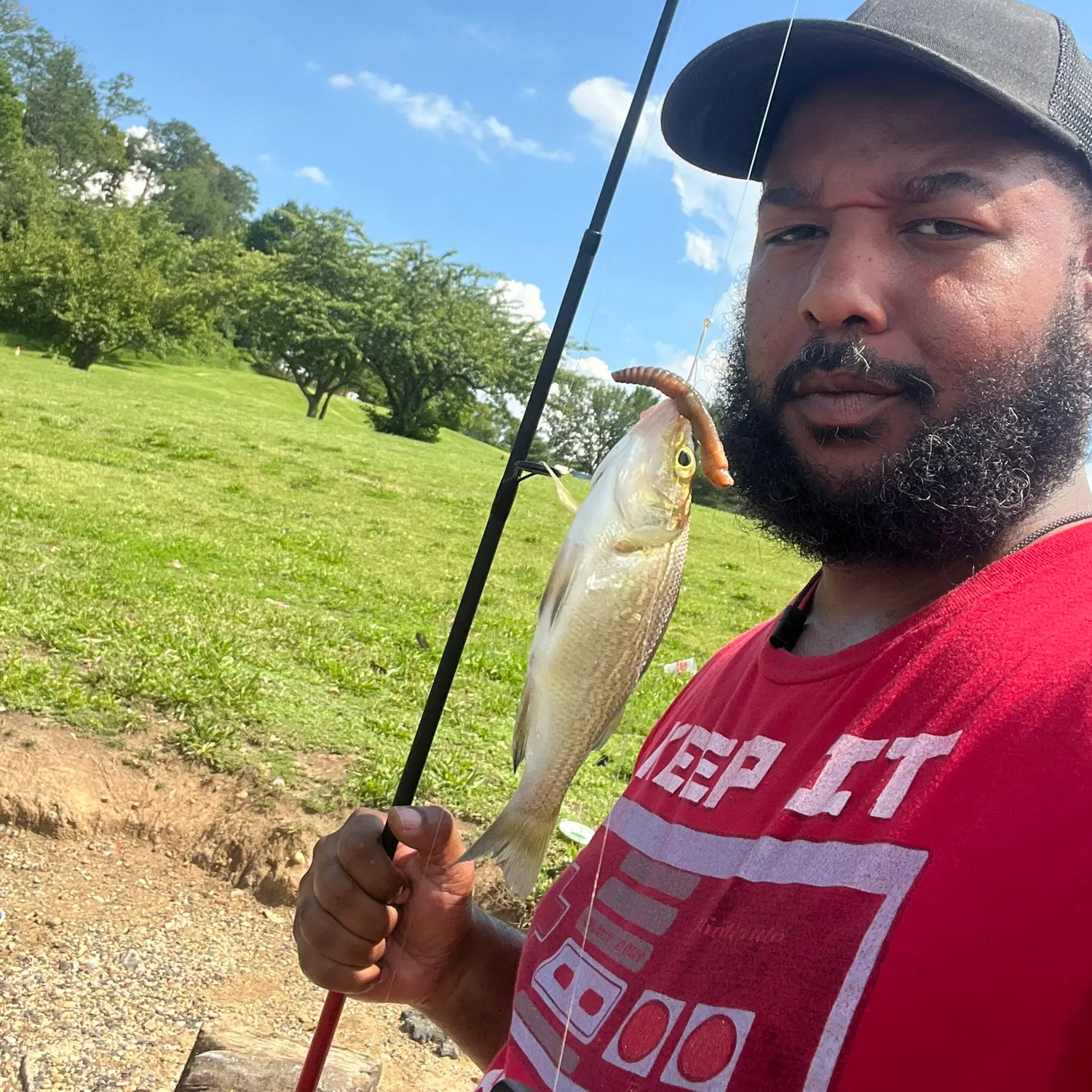 White perch caught on Fishbrain