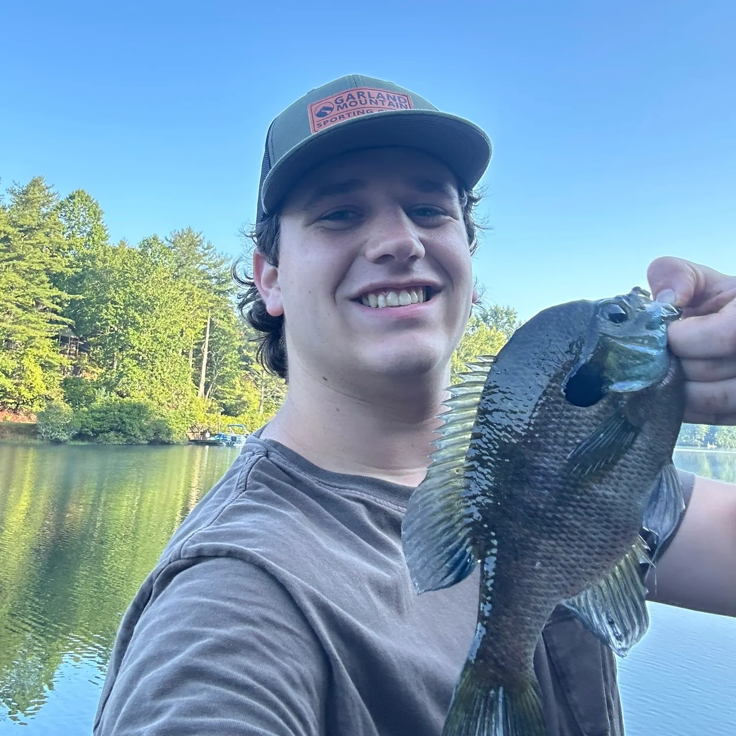 Bluegill caught on Fishbrain