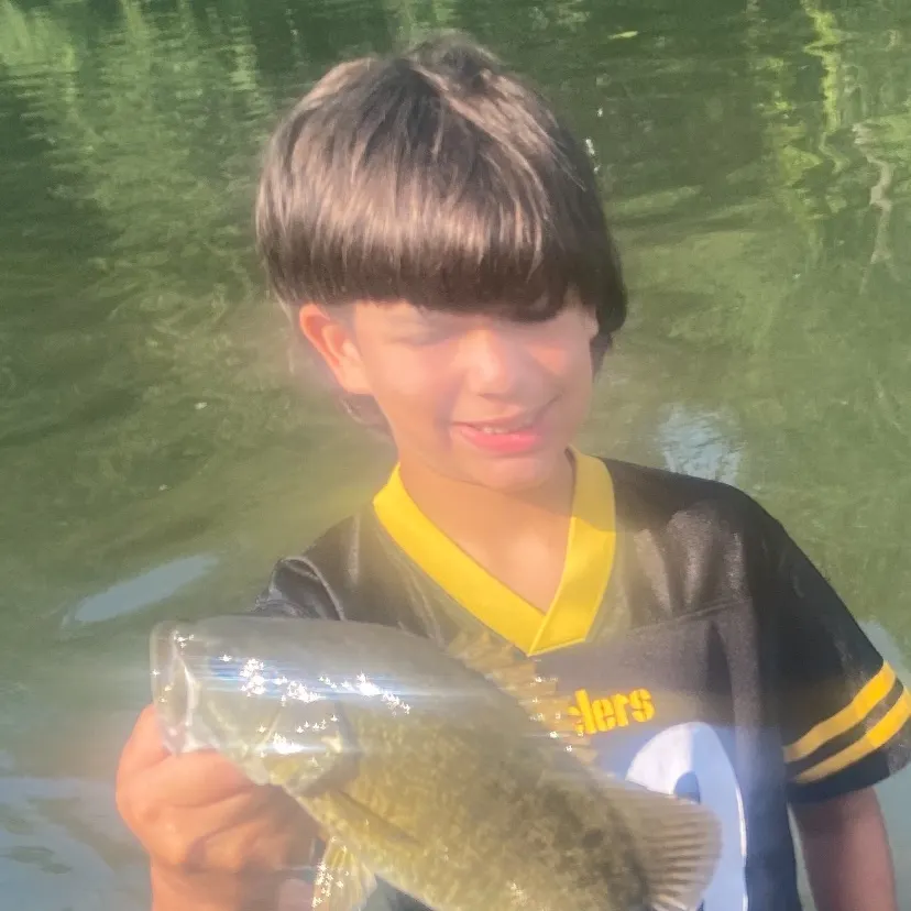 The most recent Smallmouth bass catches on Fishbrain