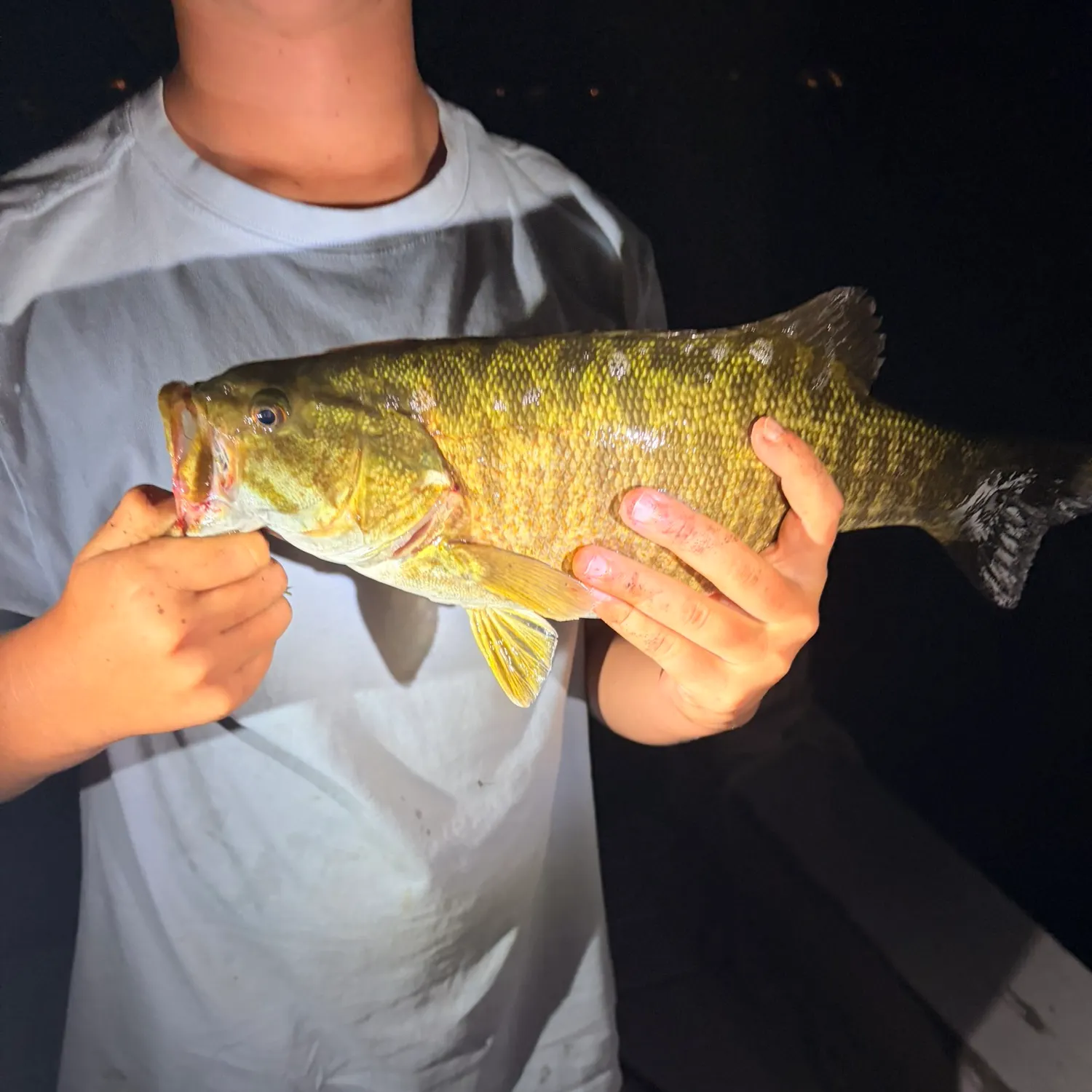 Smallmouth bass caught on Fishbrain