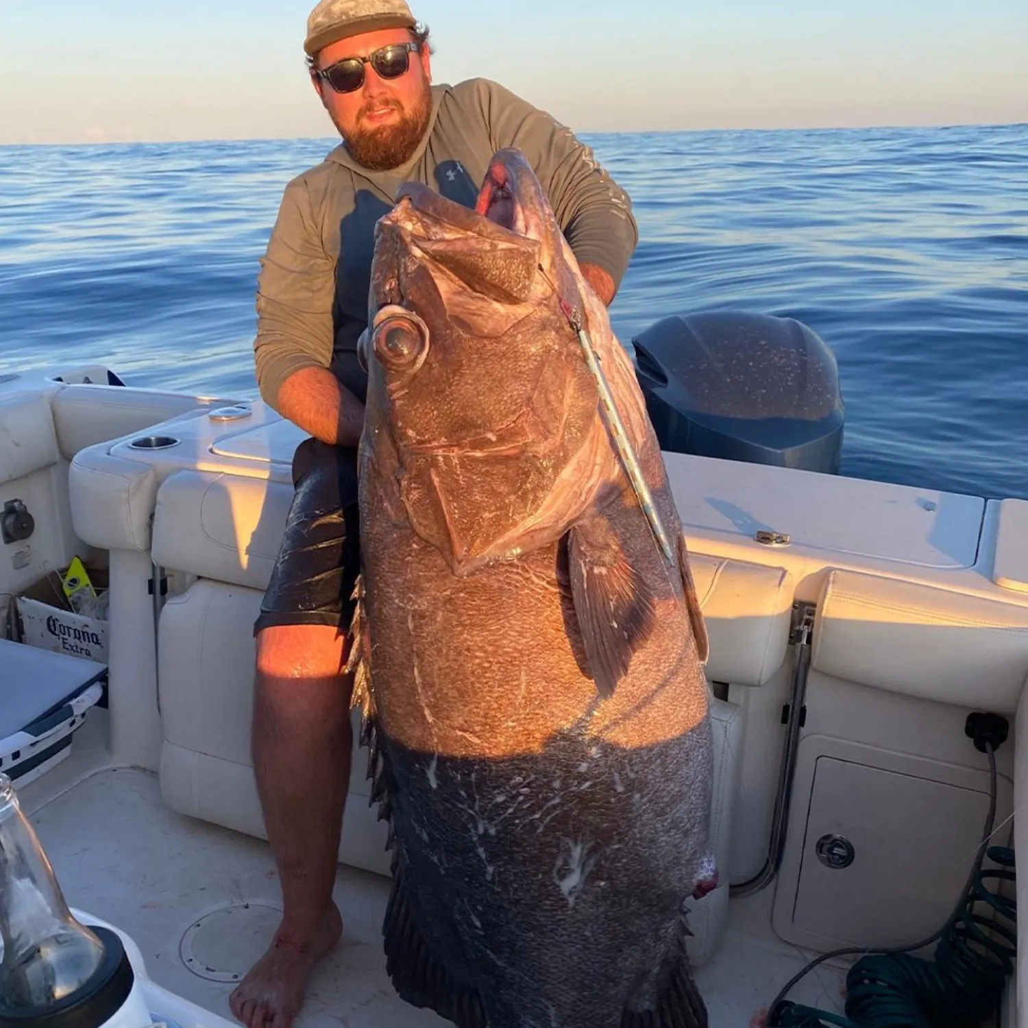 The most recent Gulf wobbegong catches on Fishbrain