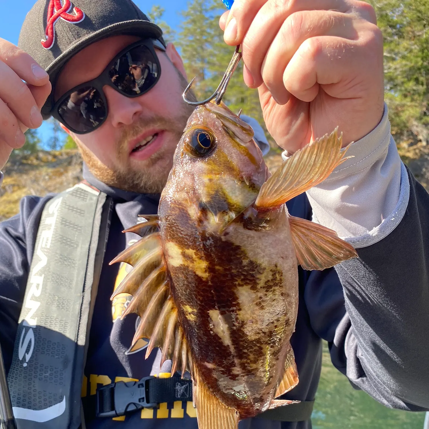 Copper rockfish caught on Fishbrain