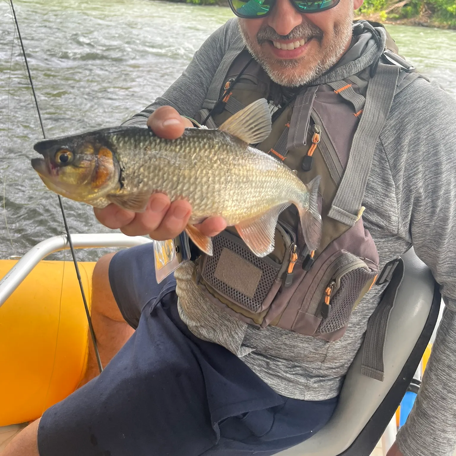 The most recent Machaca catches on Fishbrain