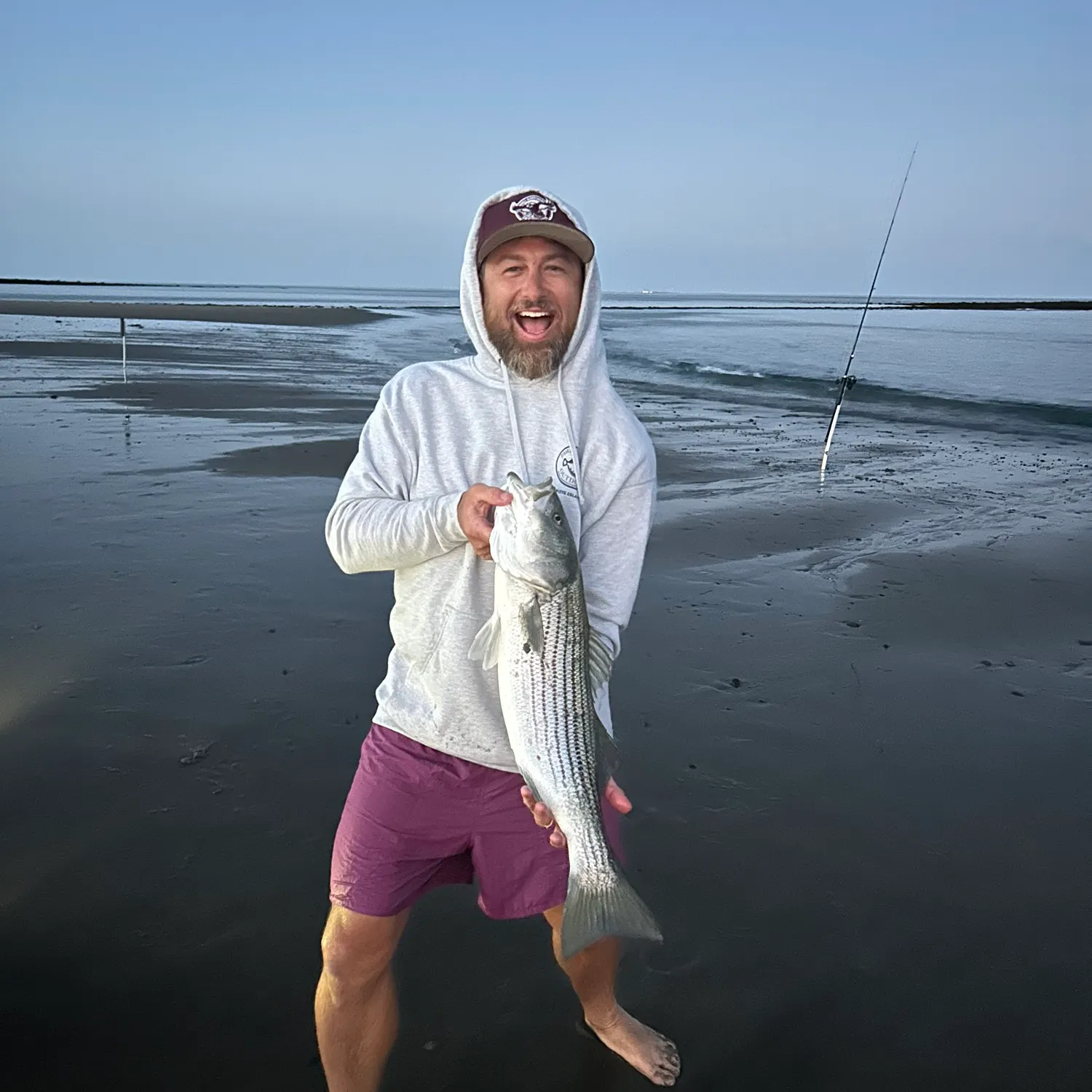 Striped bass caught on Fishbrain