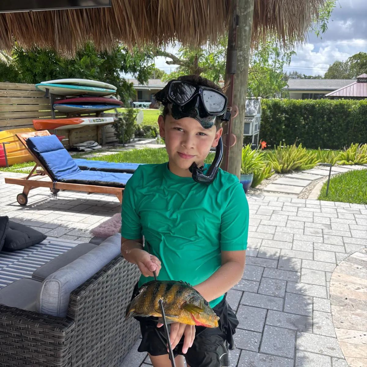 The most recent Mayan cichlid catches on Fishbrain