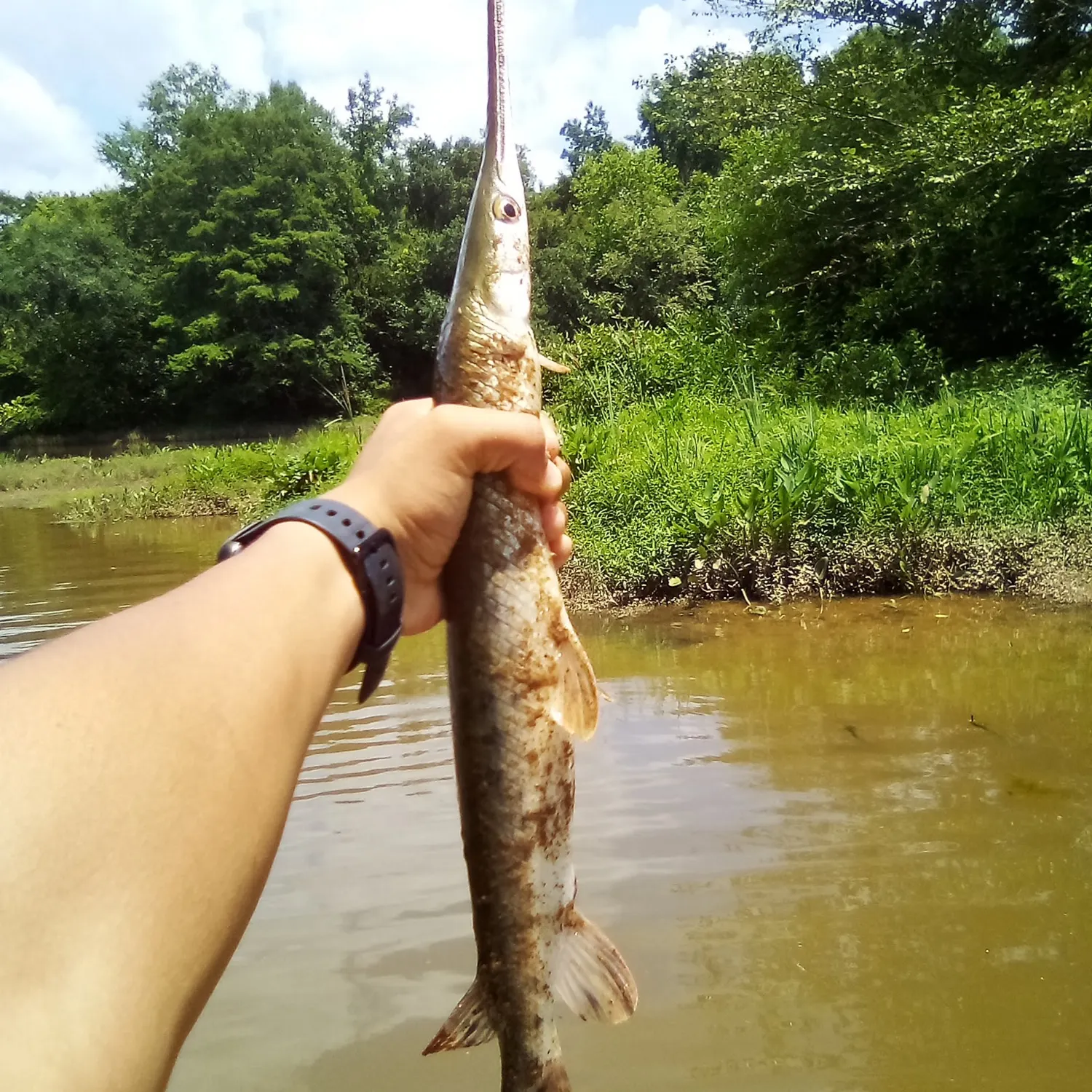 catch