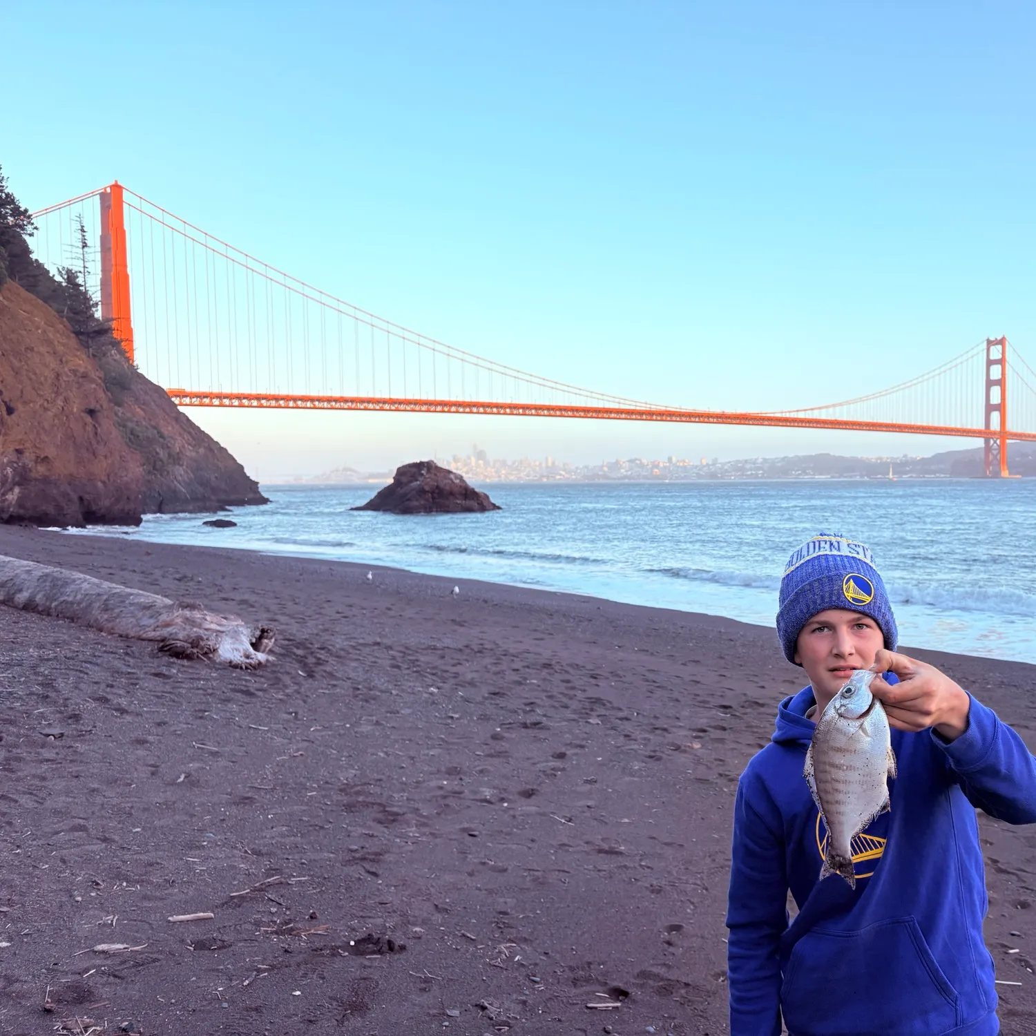 Barred surfperch caught on Fishbrain