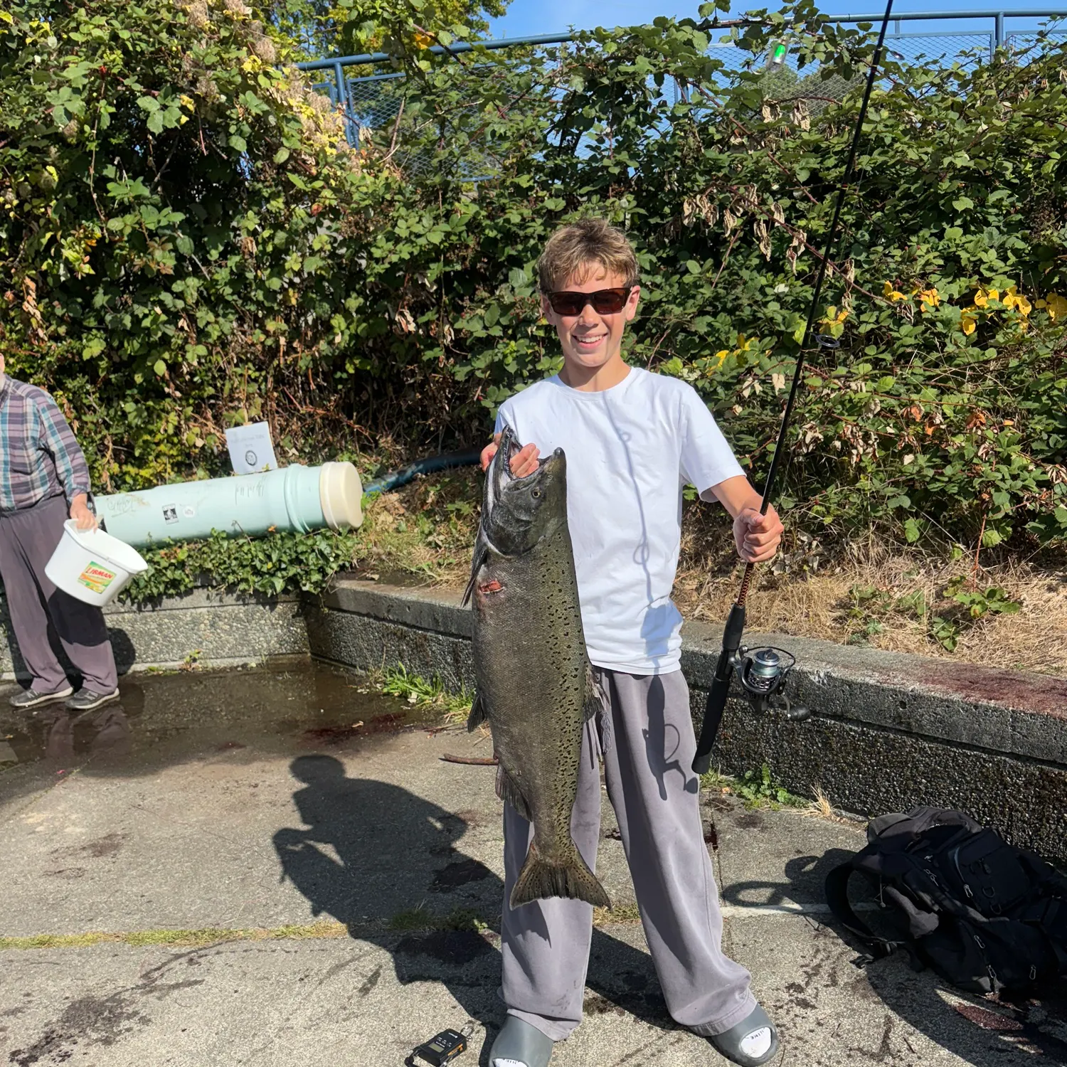 Chinook salmon caught on Fishbrain