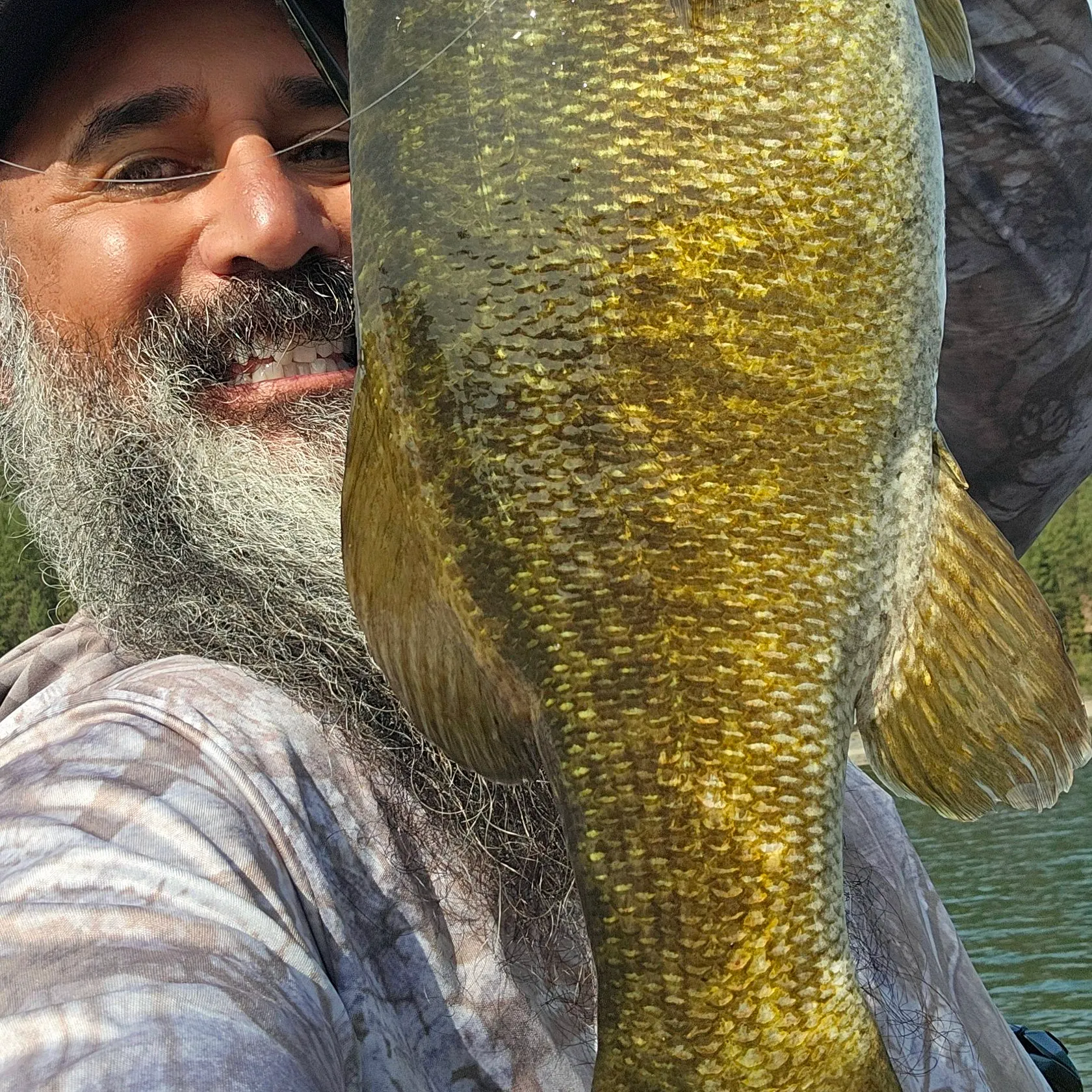 Smallmouth bass caught on Fishbrain