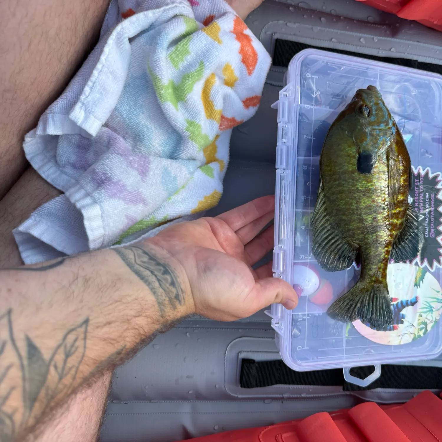 catch