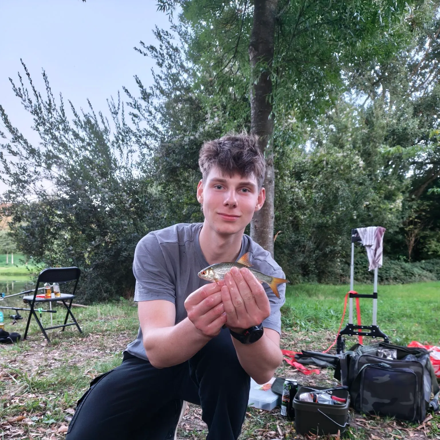Common rudd caught on Fishbrain