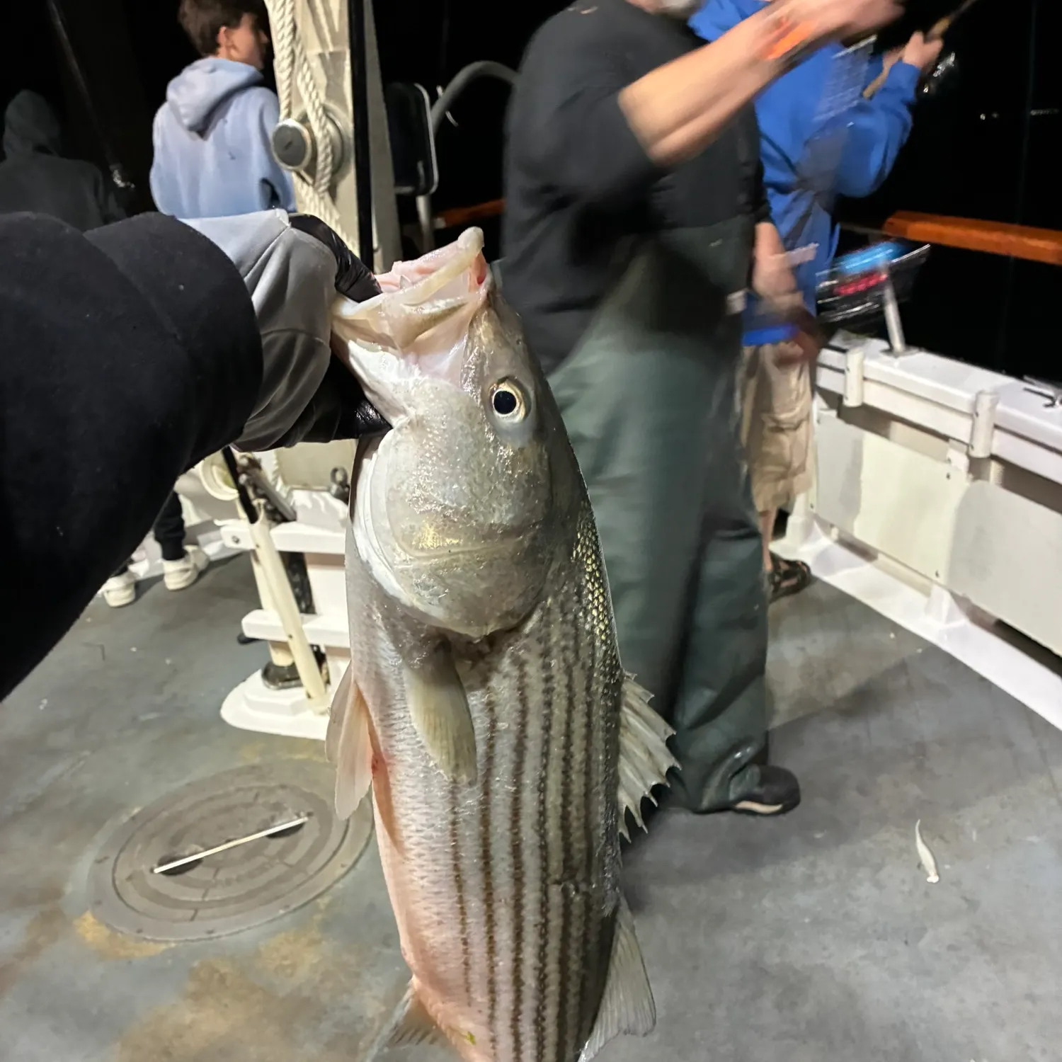 catch
