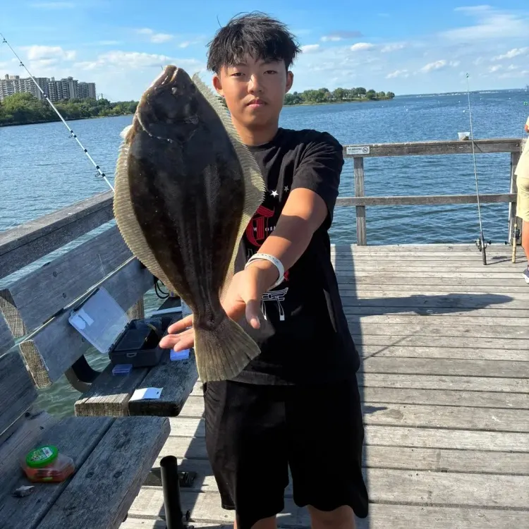 Summer flounder caught on Fishbrain