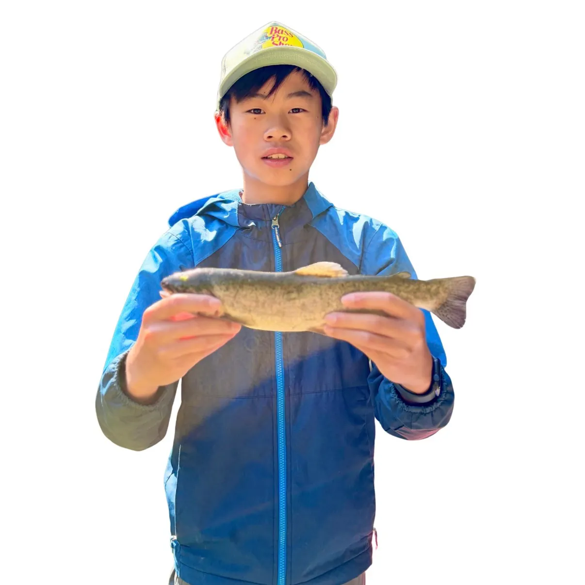 Rainbow trout caught on Fishbrain