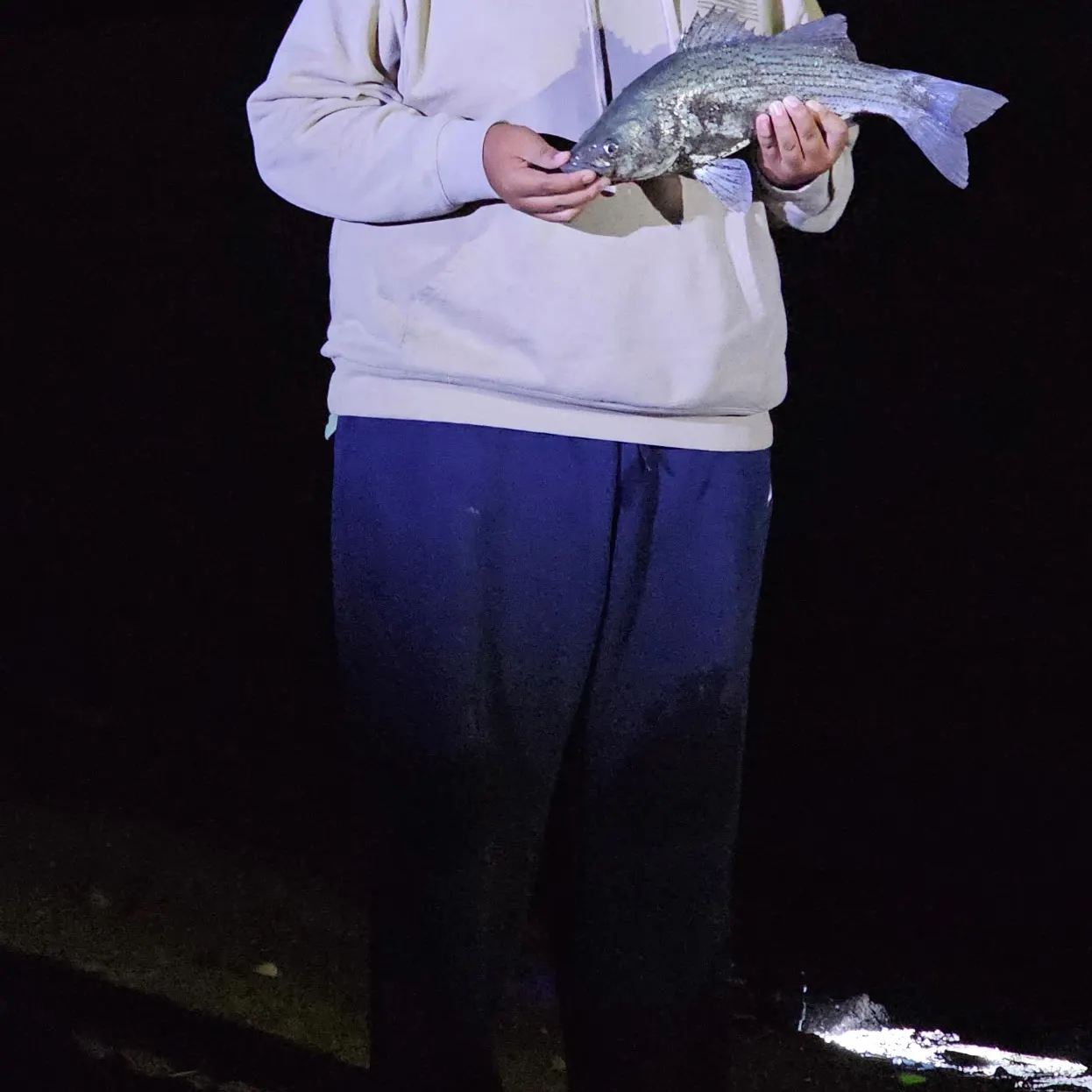 Wiper caught on Fishbrain