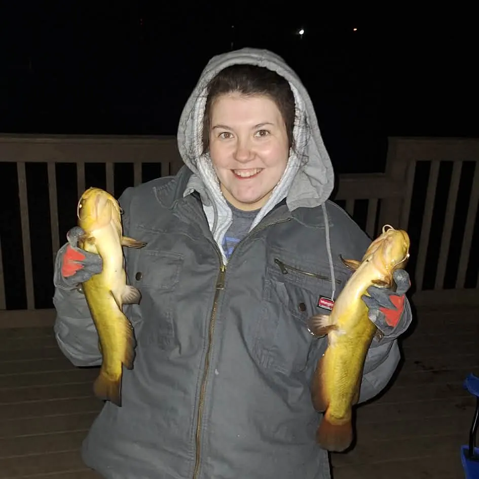 The most recent Flathead catfish catches on Fishbrain