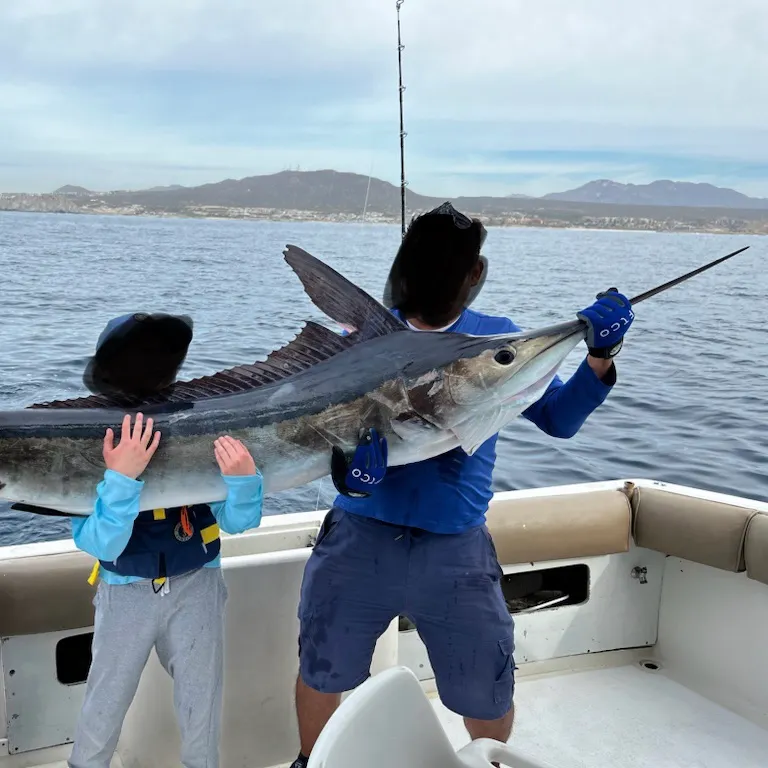 The most recent Striped marlin catches on Fishbrain