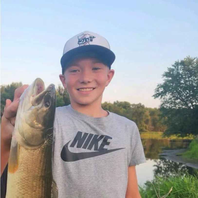 Eyetail bowfin caught on Fishbrain