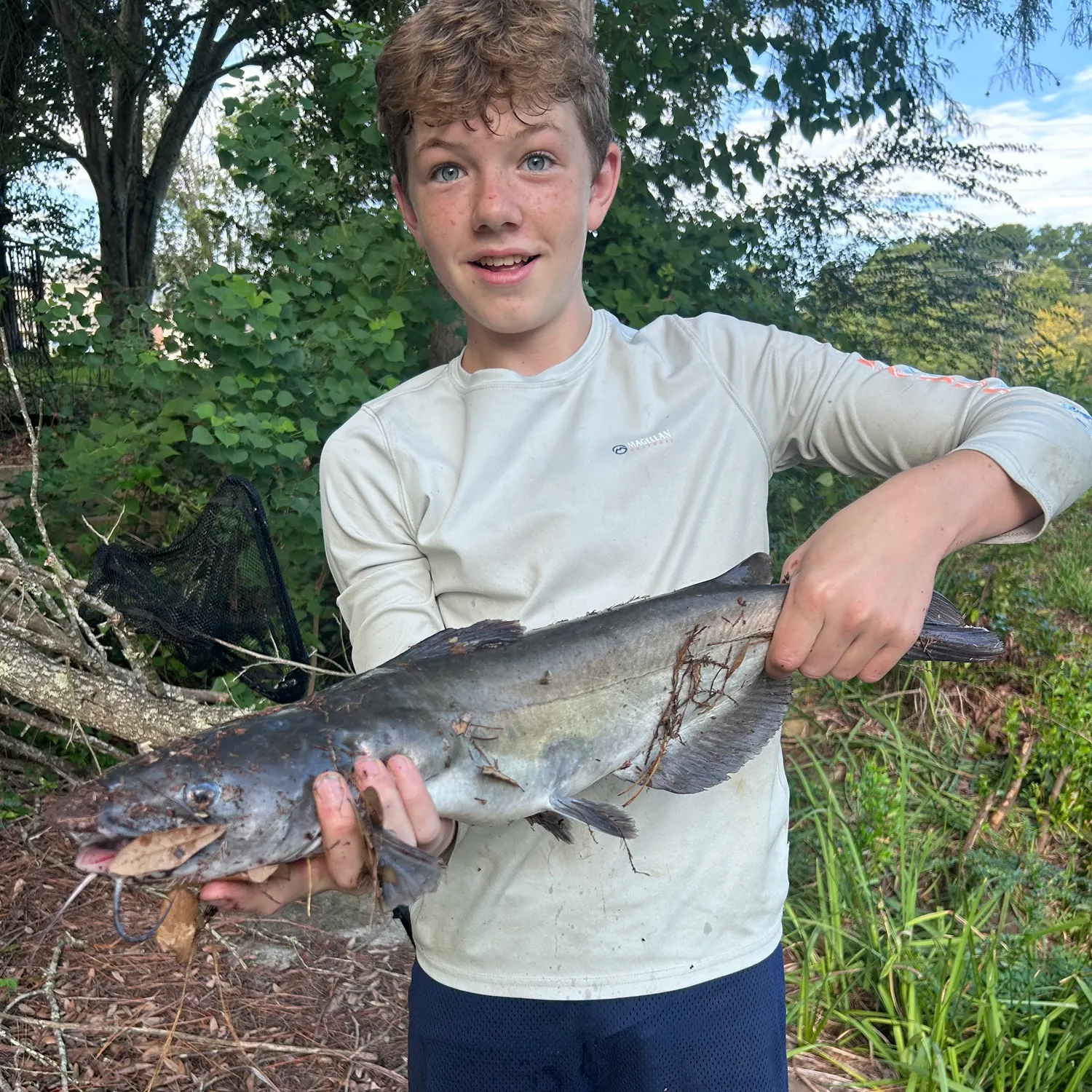 Channel catfish caught on Fishbrain