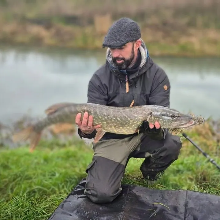 angler catch