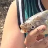 The most recent Mirror carp catches on Fishbrain