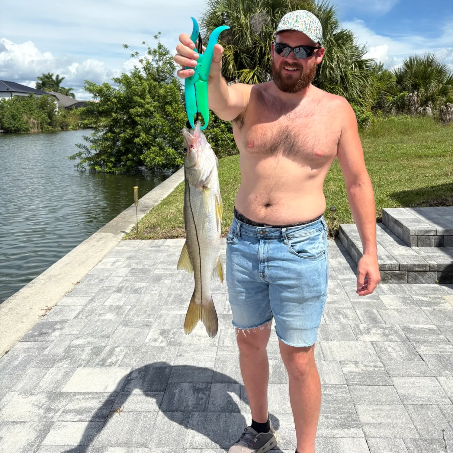 Common snook caught on Fishbrain