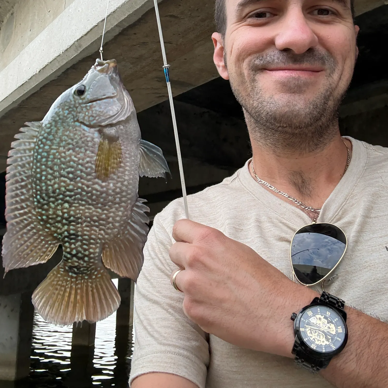 The most recent Rio Grande cichlid catches on Fishbrain