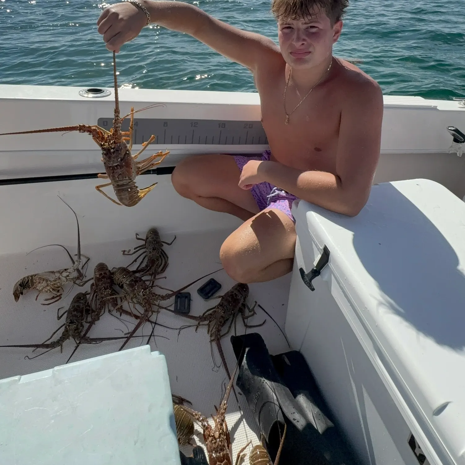 The most recent Spotted spiny lobster catches on Fishbrain