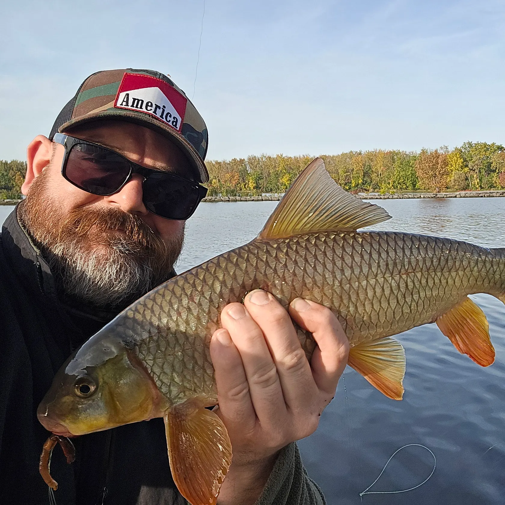 Shorthead redhorse caught on Fishbrain