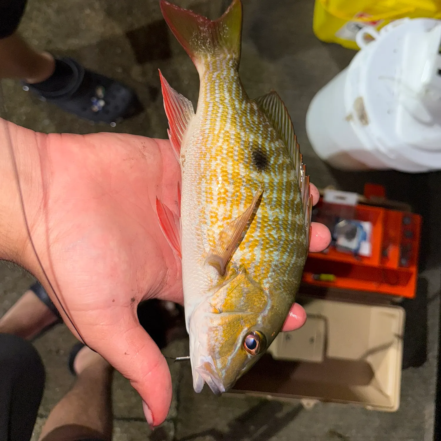 catch